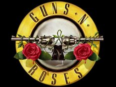 guns n roses gokkast
